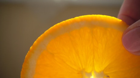 Slice of wet orange in a very close shot.