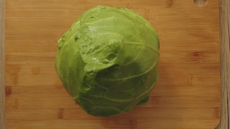 Slicing cabbage, POV