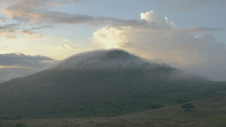 Small mountain covered with vegetation and mist.