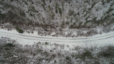 Snow covered tracks between woodland