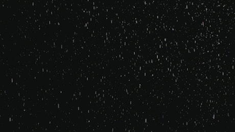 Snow falling at night seen from below.