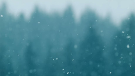 Snow falling with an unfocused background