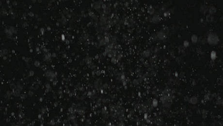 Snow falls in a black background.