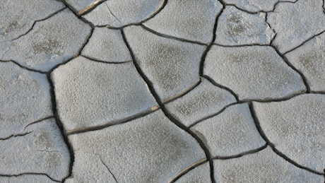 Soil mudcracks from drought.