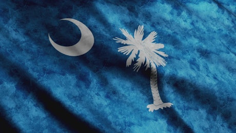 South Carolina State flag.