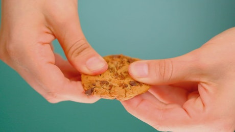 Splitting a chocolate chip cookie.