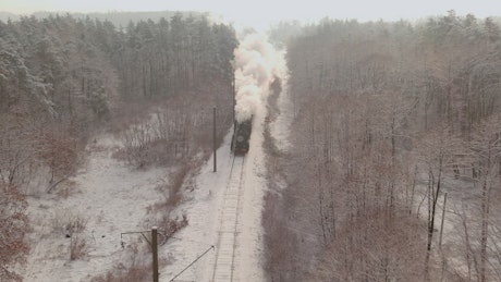 Steam locomotive traveling in the middle of a forest.