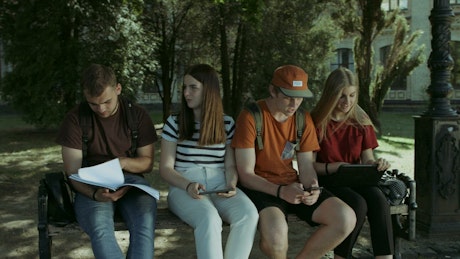 Students studying on a bench
