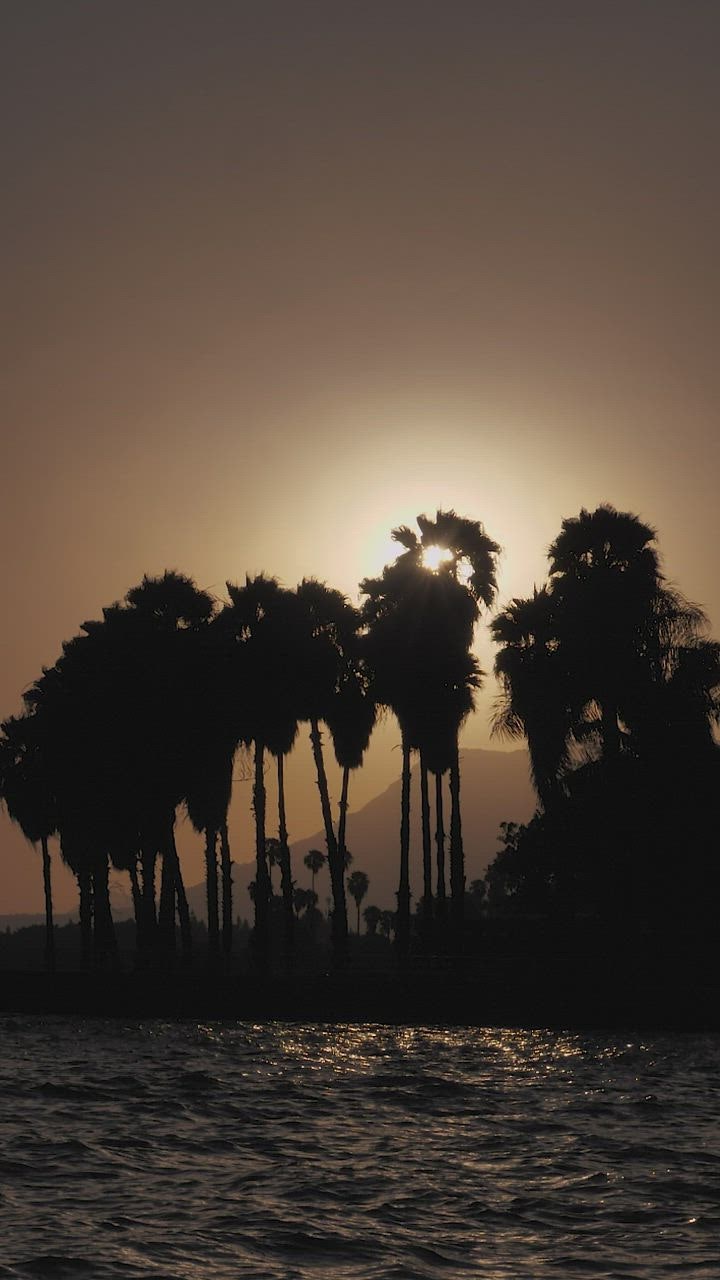 ⁣Sun s live draw super wuhan etting or rising over palm trees