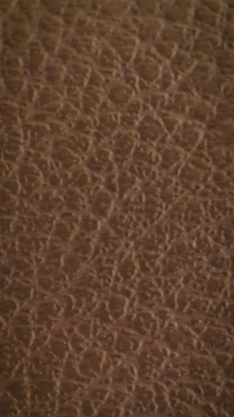 Texture of a leather surface, close view.
