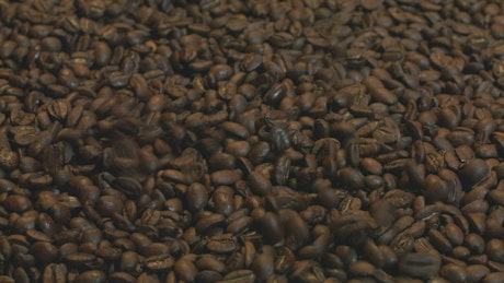 Texture of a surface covered by coffee beans.
