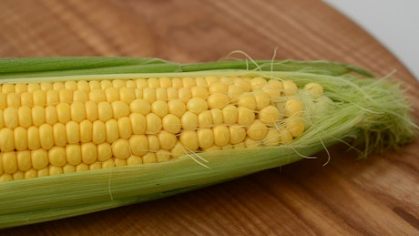 Texture of an ear of corn