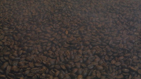 Texture of coffee beans.