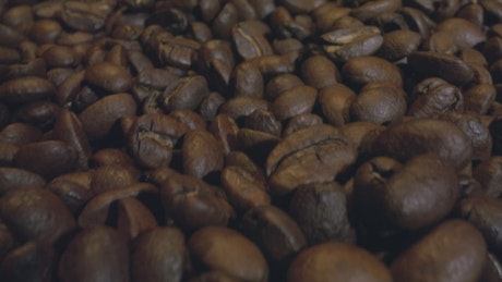 Texture of many coffee beans.