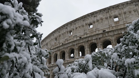 The Colosseum in Rome viewed through snow covered trees.