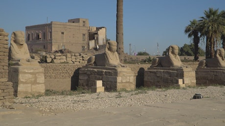 The great statues of the Luxor Temple in Egypt.