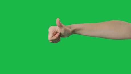 Thumbs up and down on a green screen.