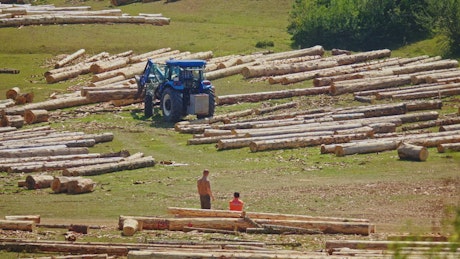 Timber carrying bobcat reversing around wooden logs.