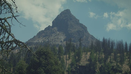 Timelapse of a mountain in a forest