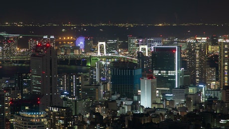 Tokyo skyline at night.