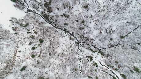 Top aerial shot over a frozen stream in a forest