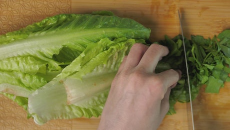 一个人切生菜的俯视图
