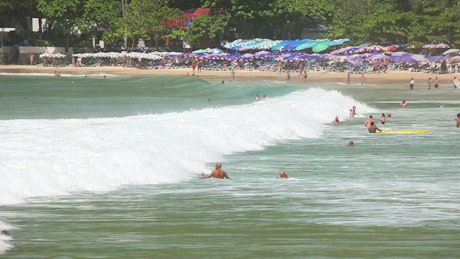 Tourists enjoying the tropical beach.