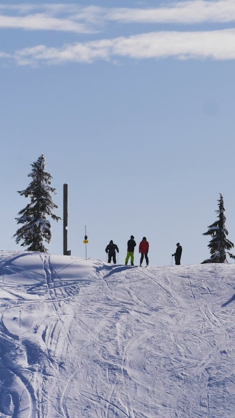 Tourists skiing on a snowy slope in Canada.