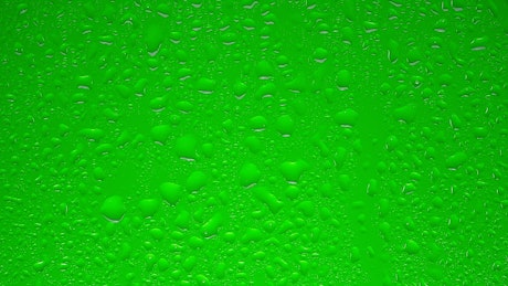 Transparent water drops on a green surface