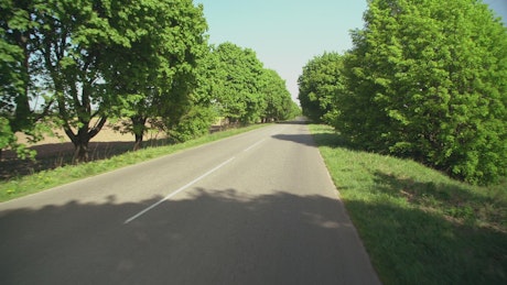 Traveling on an empty road covered in trees.