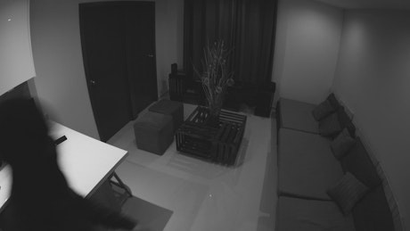 Two thieves recorded on a security camera.