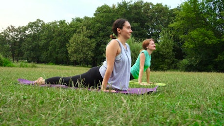 Two woman practicing yoga in the park.