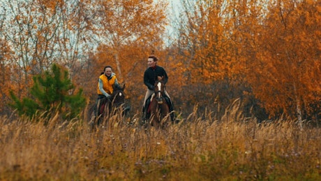 Two woman riding horses in the autumn field.