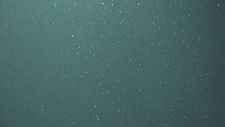Underwater plankton.
