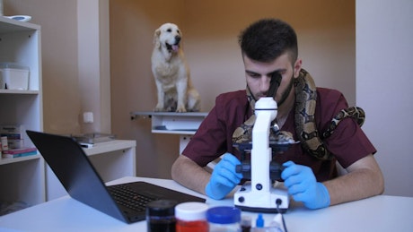 Vet and his snake working on a laptop