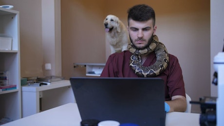 Vet working while holding a snake.