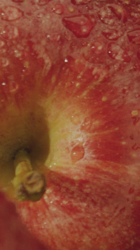 Video of the texture of fresh apples