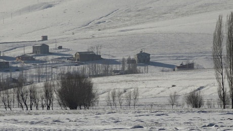 Village in a snowy landscape