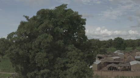 Village in Africa.