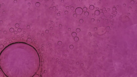 Virus cell in purple tones