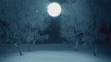 在冬季的森林里走向满月
