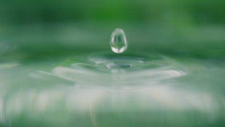 Water drop fall into a pot in slow motion.