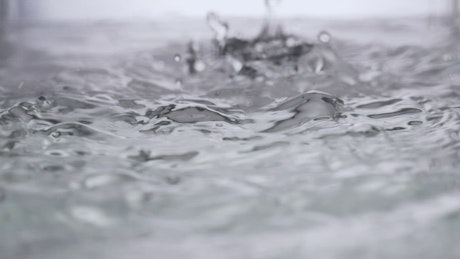 Water drops creating ripples.