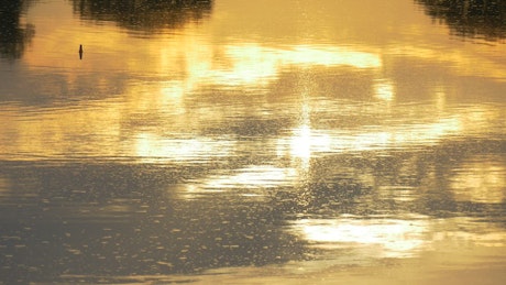 Water with yellow sunset reflection