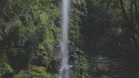 Waterfall in woods.