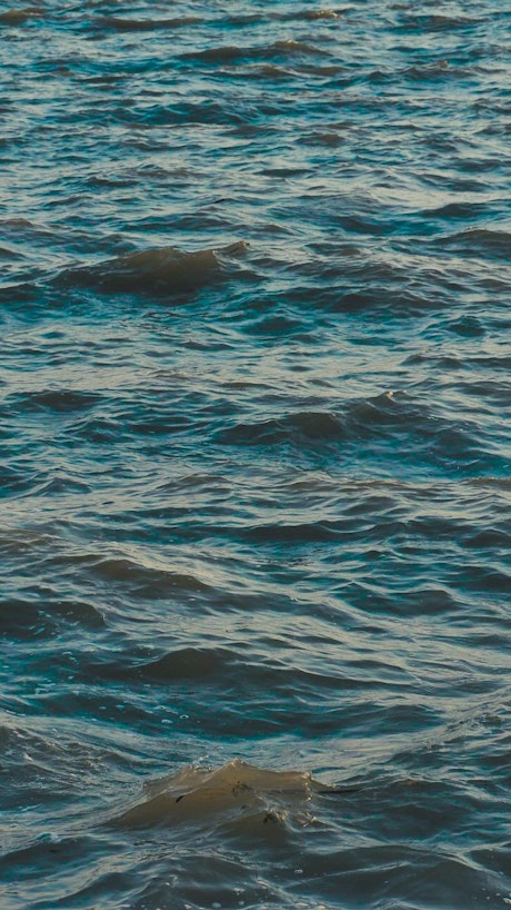 Waves in the water