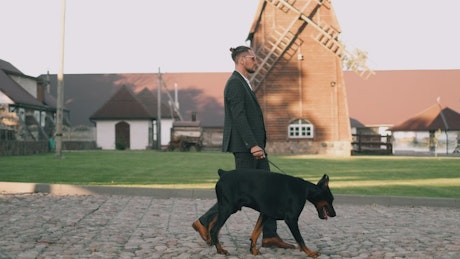 Wealthy business man walking with his doberman dog.