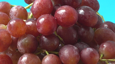 Wet grapes texture, spinning shot