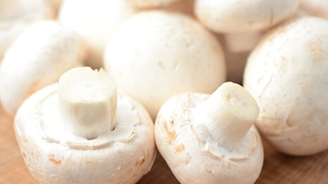 White mushrooms in detail.
