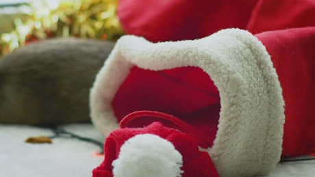 White rat inside a Christmas stocking.